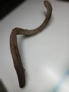 ヴィンテージ コブラ 木製 蛇の置物 可動式 アートオブジェ インド