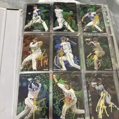 Item thumbnail for item 3a6d422f-0422-4ddc-88e7-ec896aa5f978