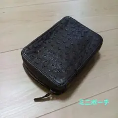 オーストリッチ　ポーチ