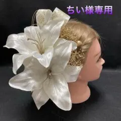 ちぃ様専用　14日使用 hg66