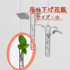 吊り下げ花瓶 小サイズ ガラス 北欧風 インテリア 雑貨 観葉植物 トイレ 玄関