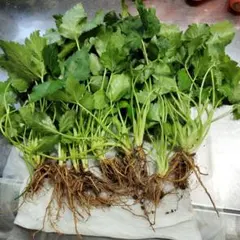 はんぎょ様 リクエスト 2点 まとめ商品