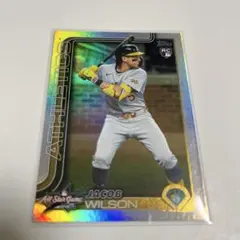 Item thumbnail for item 63926c8e-7ec4-4cbd-ba23-85882141b614