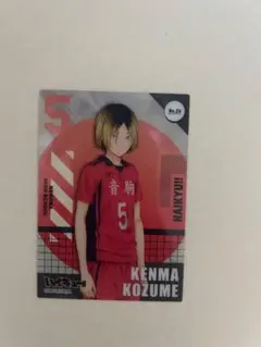 ハイキュー!! 孤爪研磨 No.26