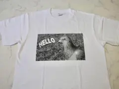 HELLO 鳩ポッポ　Tシャツ XL
