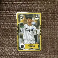 阪神タイガース 伊原陵人 オンサイトカード