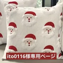 ito0116様 リクエスト 2点 まとめ商品