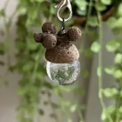 宇宙どんぐり　ガラス　ストラップ　②