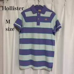 Ⓜ️Hollister Polo M パープル/水色