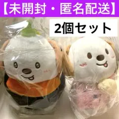2026年最新】rIize アントン ぬいぐるみの人気アイテム - メルカリ