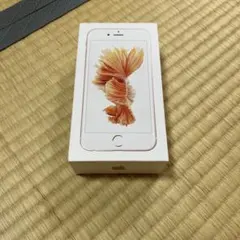 iPhone6S 64GB 空箱