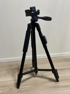 Item thumbnail for item e2da020d-c516-47bd-9d36-bd26dad9042a