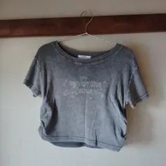 Tシャツ フリーサイズ emsのサムネイル