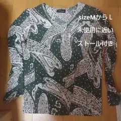 V首カットソーストール付き