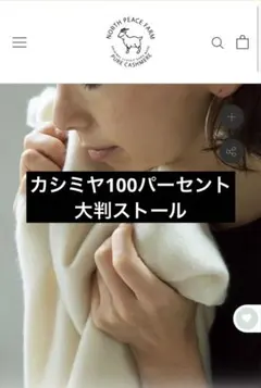 Item thumbnail for item 6822d5d0-533b-43f6-ac52-20e8248ec407