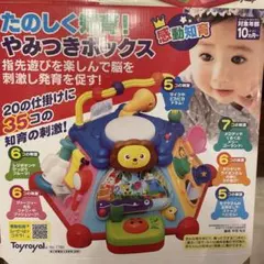 Toyroyal たのしく知育！やみつきボックスのサムネイル
