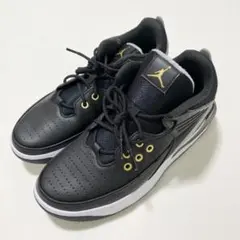 NIKE ナイキ スニーカー 25.5cm エアジョーダン マックス オーラ 5