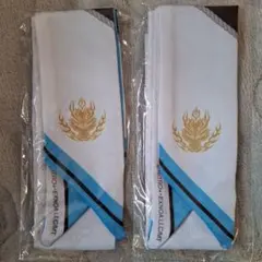 Item thumbnail for item af38b132-6a4f-45d1-9ee6-5717712a0a07