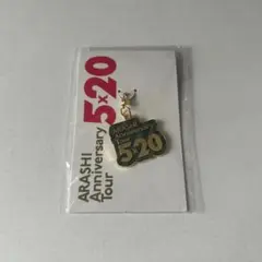 5×20 会場限定チャーム 嵐