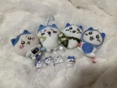 ハチワレセット