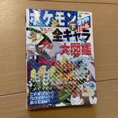 ポケモン ダイヤモンド・パール 全キャラ大図鑑 下のサムネイル
