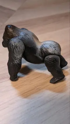 Item thumbnail for item fa66c7b9-050e-44c2-9029-e3b1e0c48d89