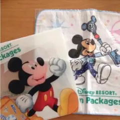 ディズニーリゾートバケーションパッケージ タオル＆ファイルセット 未使用