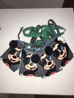 新品未使用 ディズニー バケーションパッケージ パスケース 4個セット