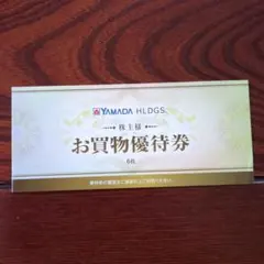 YAMADA お買物優待券 6枚セット ¥500