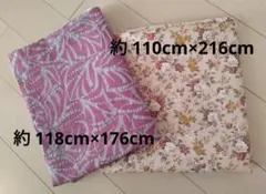 Item thumbnail for item fa06d1f5-4bbe-45fe-9c82-14bb2182c1b5