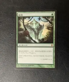 2026年最新】MTG 踏査の人気アイテム - メルカリ