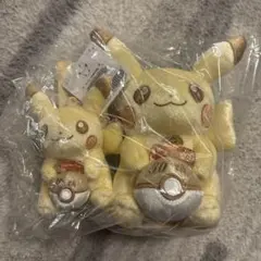 30周年記念 ピカピカ！ピカチュウ ぬいぐるみ＆マスコットセット