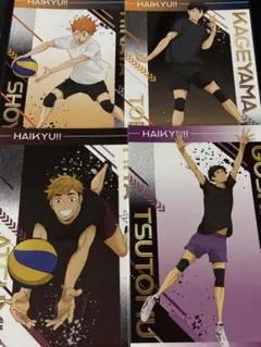 ハイキュー　アニメイト特典　疑似ユース合宿フェア　ポストカード