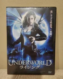 Item thumbnail for item 9a08db2a-e39e-4871-882c-33c91fbfce94