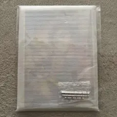 鬼滅の刃 無限城編 第四弾KV WEBSHOPくじ A賞 胡蝶しのぶ