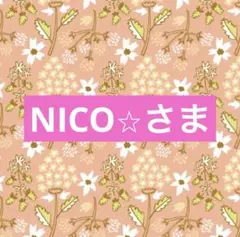 NICO⭐︎さま専用☆。.:＊・゜