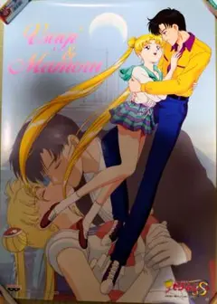 美少女戦士セーラームーン DVD-COLLECTION B2ポスター - メルカリ