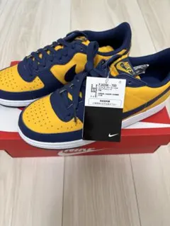 NIKE TERMINATOR LOW ターミネーター　ミシガン　27センチ