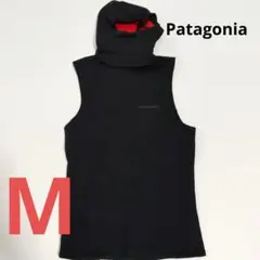 2026年最新】patagonia ウェットスーツ ドライ・セミドライスーツの