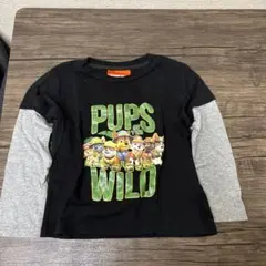 パウ・パトロール 長袖カットソー 120