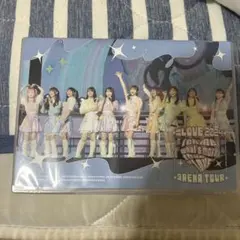 LOVE Arena Tour 2024 DVD - メルカリ