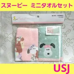 USJ スヌーピー ミニタオル　ハンドタオル　ピーナッツ　ユニバーサルスタジオ