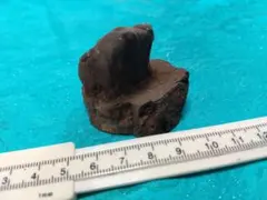 何かの化石？　採取場所　香川県さぬき市多和　水石　鑑賞石　置物のサムネイル