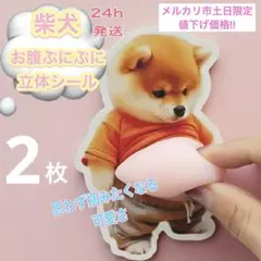 柴犬　おなかぷにぷにシール2枚　立体3D　ぷっくりお腹のいぬ　スクイーズ　韓国