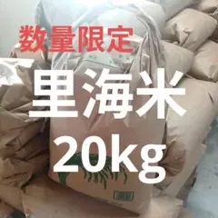 令和7年佐賀産さがびより未検査玄米30キロ 期間限定4月30日までの特別