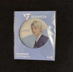 SEVENTEEN UFOキャッチャー　缶バッジ　ウォヌ