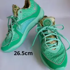 NIKE KD16 EP ケビン デュラントV2916-301