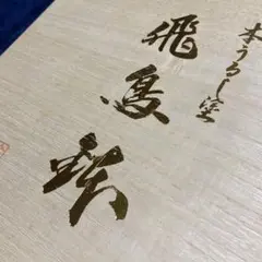 Item thumbnail for item cacfd7c5-112c-4b78-be36-1aa37c088e1d