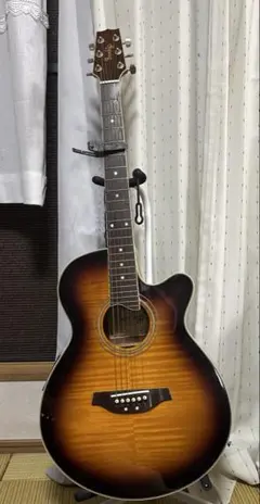 エレアコ ギター