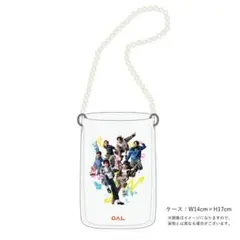 PALオリジナルパルクロすっきゃねんずストラップ付マルチケース